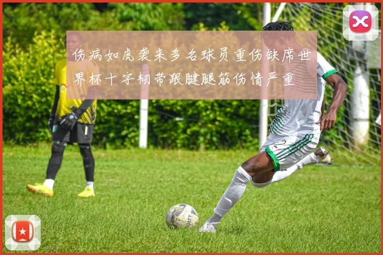 伤病如虎袭来多名球员重伤缺席世界杯十字韧带跟腱腿筋伤情严重